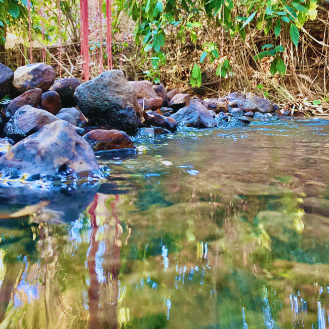 Dòng Suối Tự Nhiên Tưới Mát