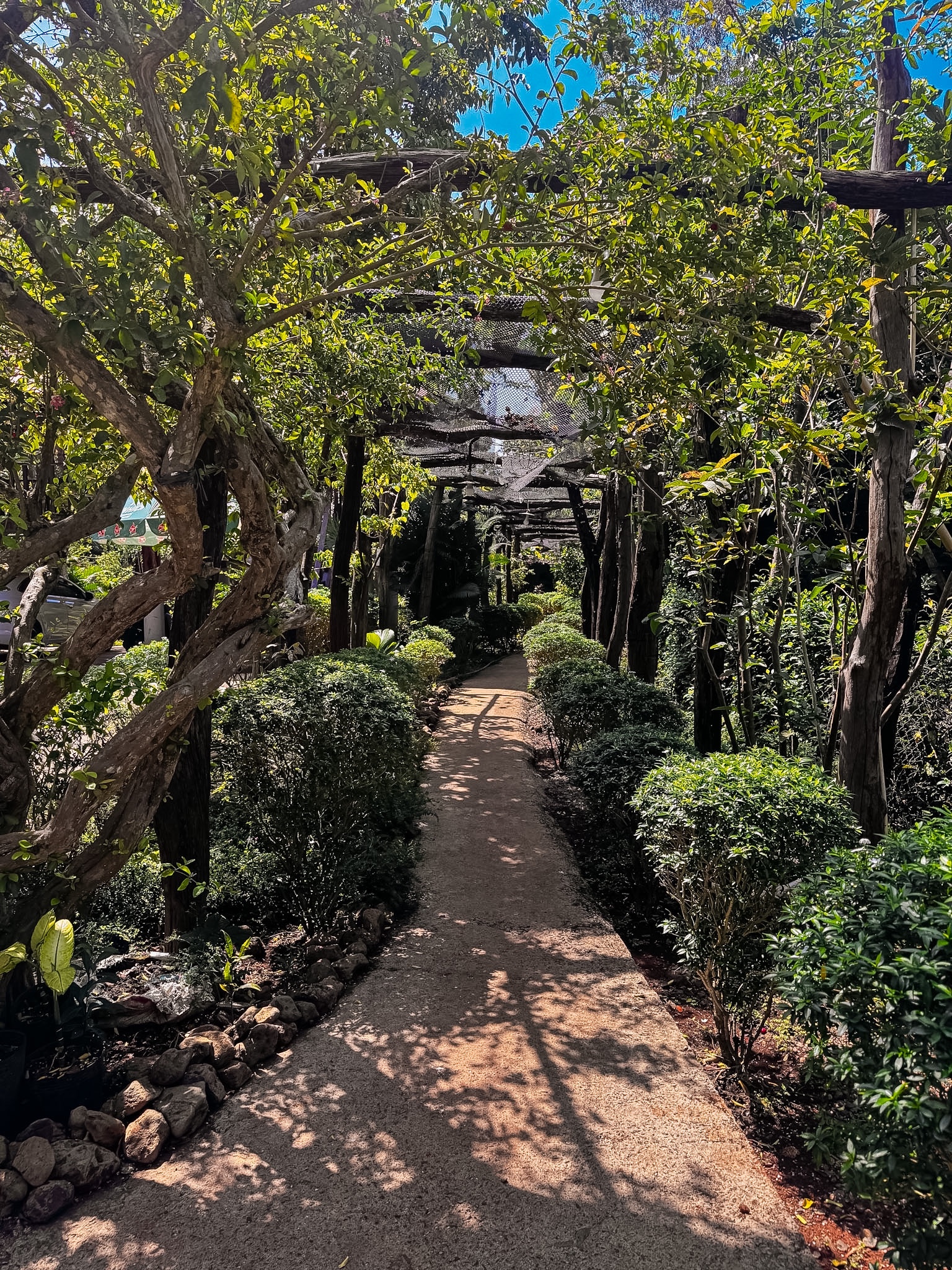 quán ăn sân vườn Bà Rịa Vũng Tàu nhiều cây xanh