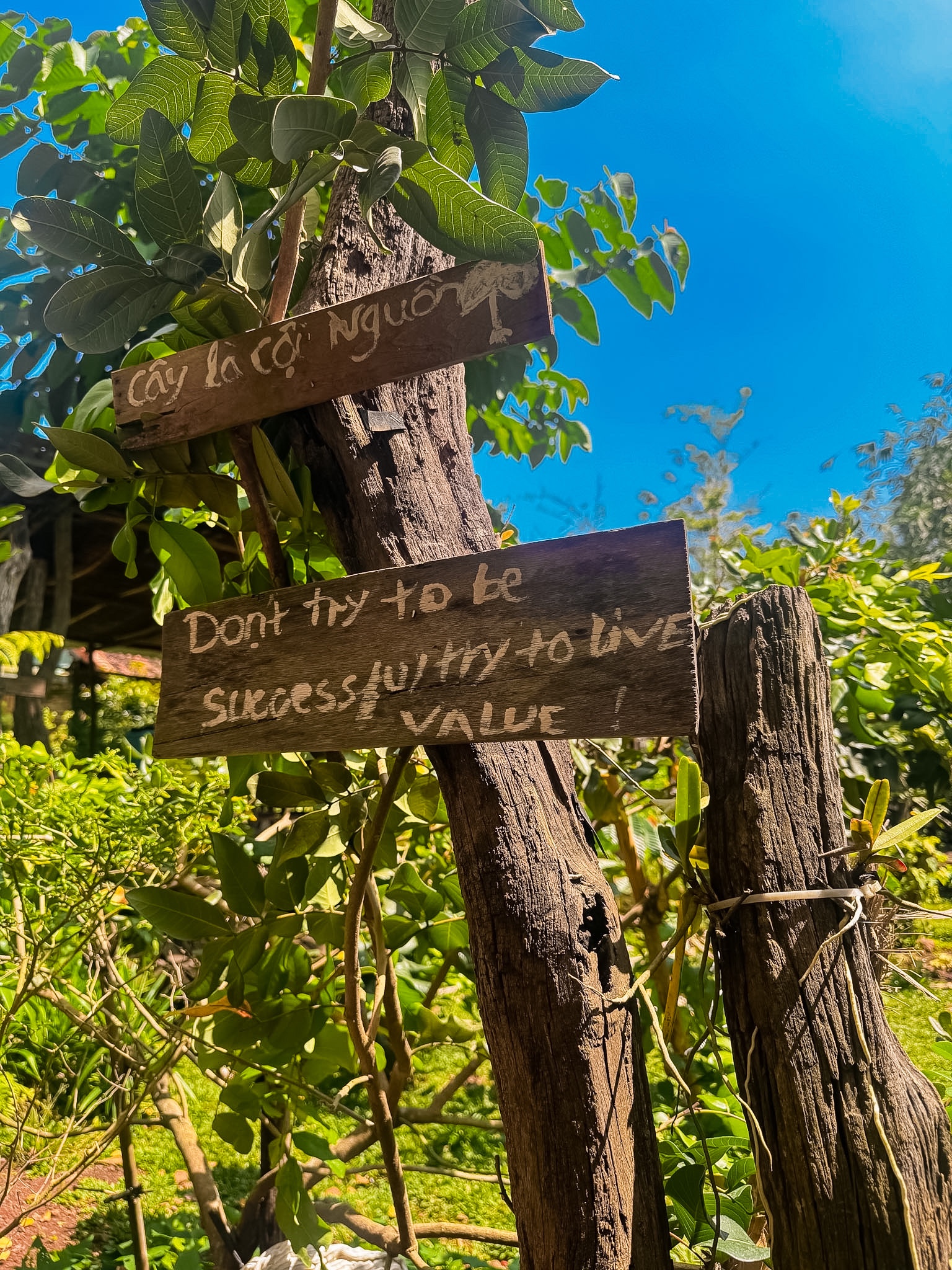 Quán Ăn Chill Bà Rịa Vũng Tàu